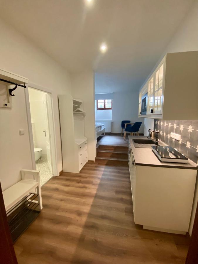 Apartmany V Ulicce Фримбурк Екстериор снимка