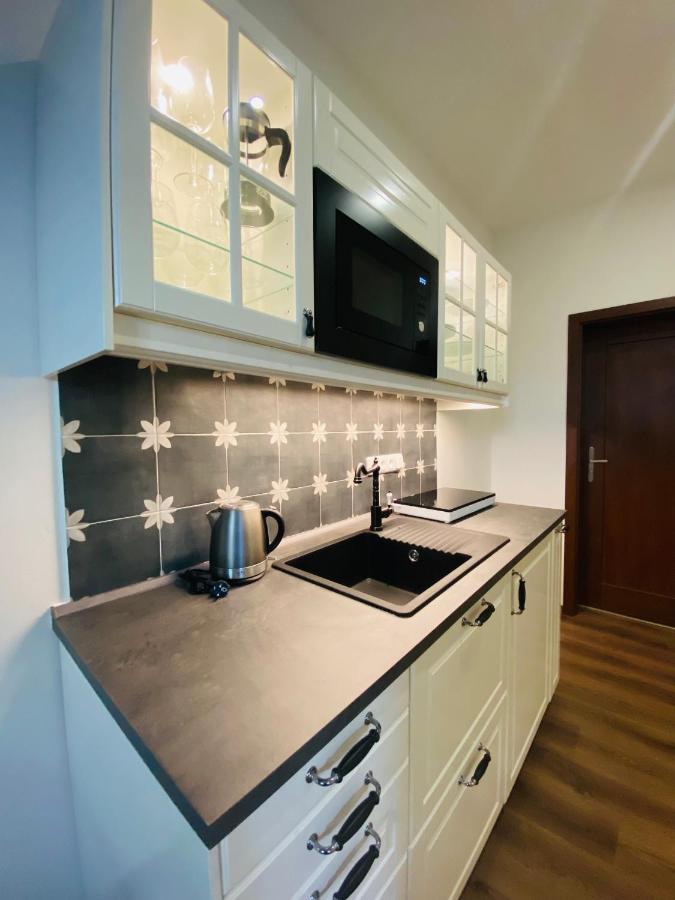 Apartmany V Ulicce Фримбурк Екстериор снимка